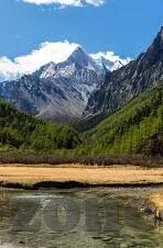 网易手游app官方下载 九游-在数字娱乐的浪潮中,探索网易手游App与九游平台的互动新纪元