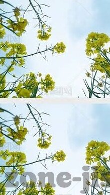足球即是捷报比分-足球即捷报比分,绿茵场上的激情与数字交响